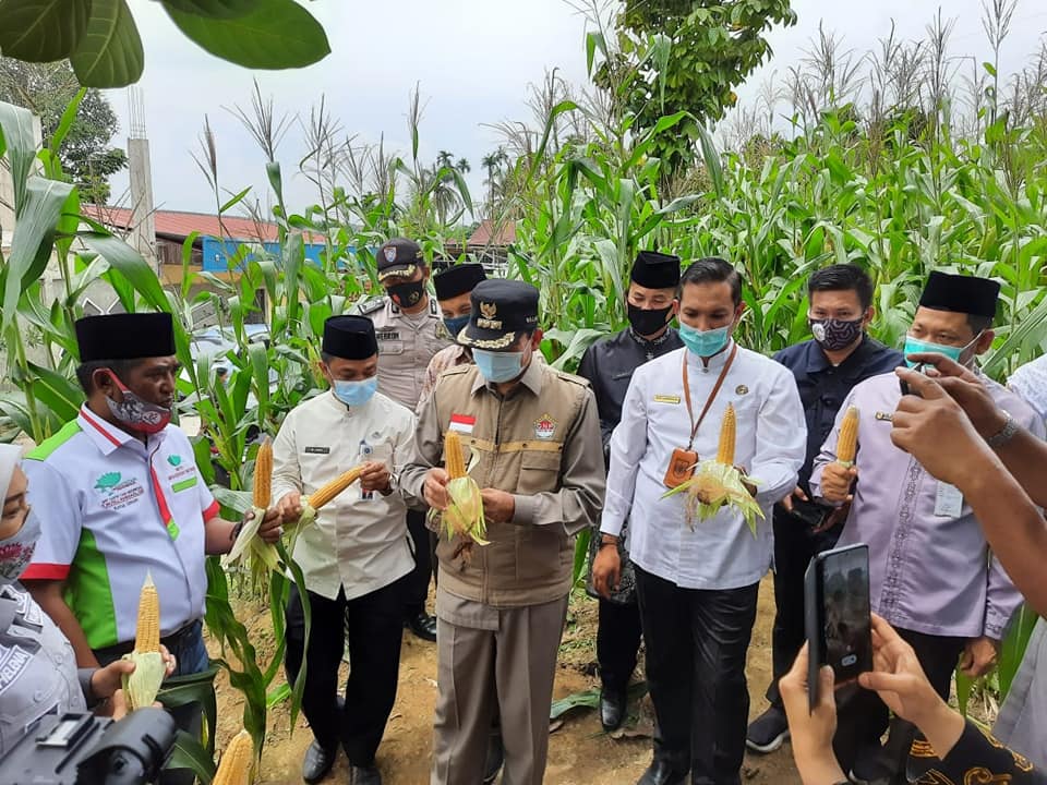 Peran Program Pemberdayaan Ekonomi Masyarakat